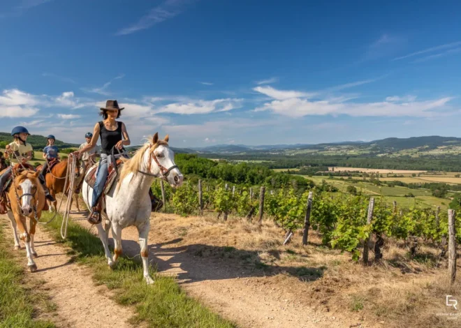 Autour de Cluny : 5 idées d’excursions et de randonnées dans le Mâconnais