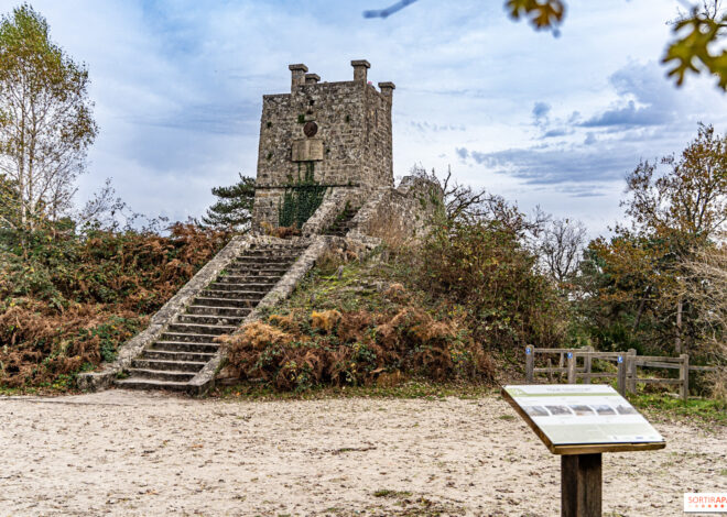 Randonnée vers la tour Denecourt : d’Avon à Fontainebleau via un belvédère forestier