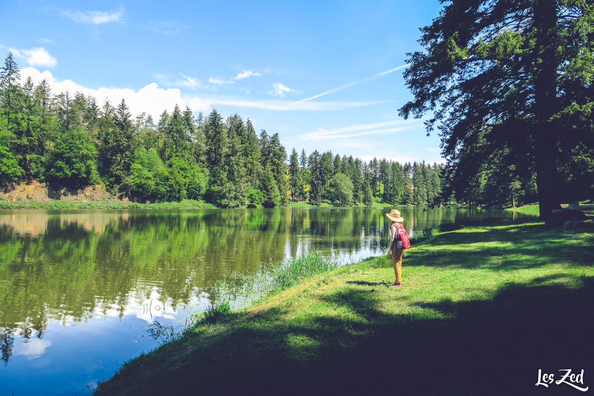 Randonnées dans les Monts du Lyonnais : trois étapes panoramiques avec pauses gourmandes